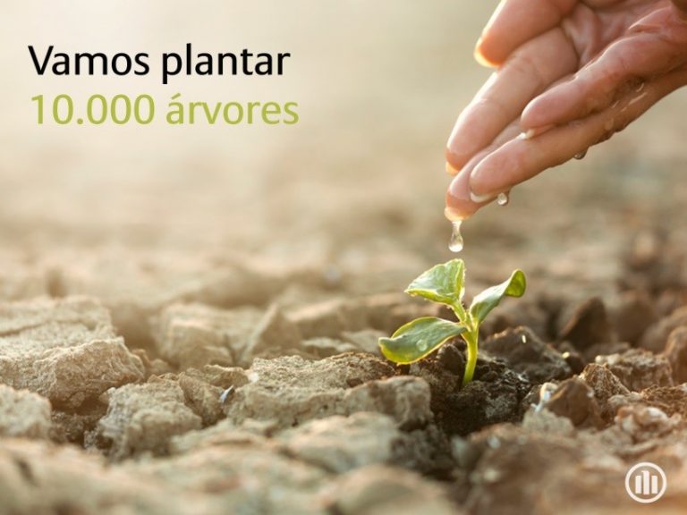 Allianz planta 10 mil árvores na Sertã